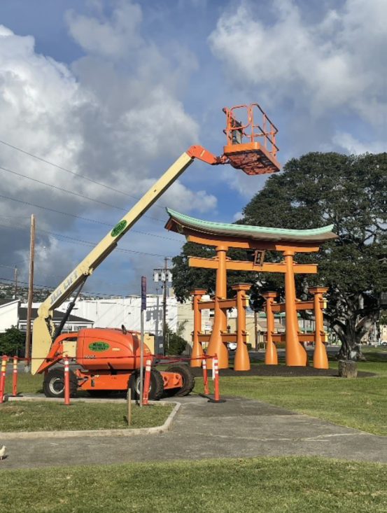 Picture1Crane resize.copy.png